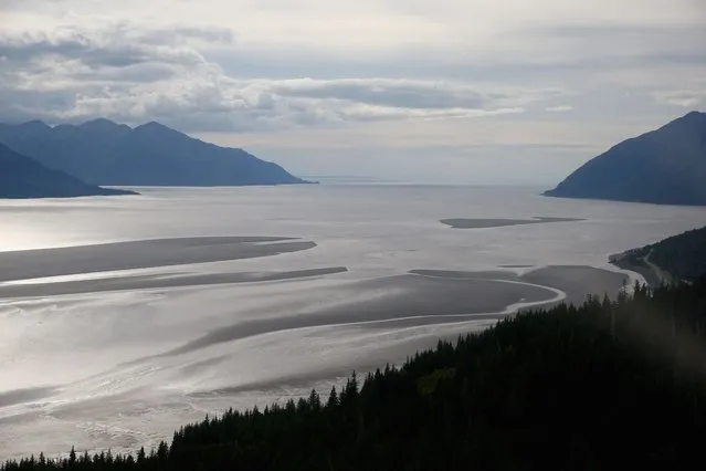 A general view of Cook Inlet before the Bore Tide at Turnagain Arm on July 12, 2014 in Anchorage, Alaska. Alaskas most famous Bore Tide, occurs in a spot on the outside of Anchorage in the lower arm of the Cook Inlet, Turnagain Arm, where wave heights can reach 6-10 feet tall, move at 10-15 mph and the water temperature stays around 40 degrees farenheit. This years Supermoon substantially increased the size of the normal wave and made it a destination for surfers. (Photo by Streeter Lecka/Getty Images)