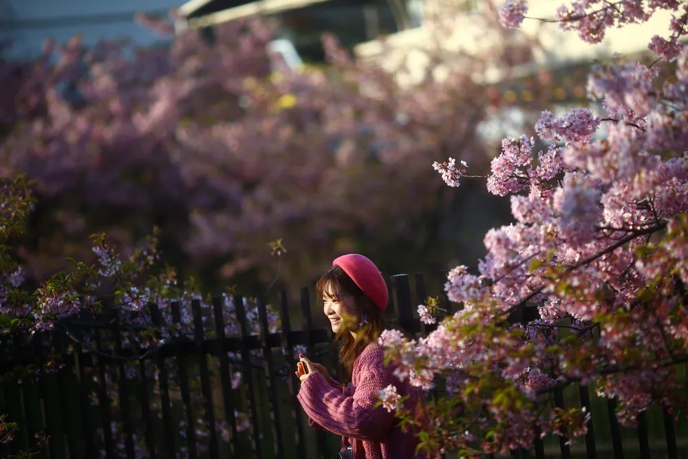 A Look at Life in Japan