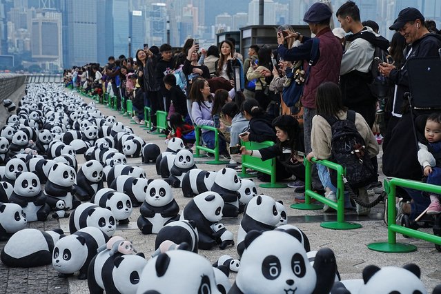 2,500 giant panda sculptures are displayed for “PANDA GO! FEST HK”, in Hong Kong, China on December 8, 2024. (Photo by Lam Yik/Reuters)