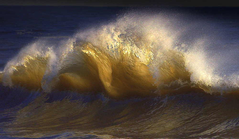 Waves by Bill Dalton