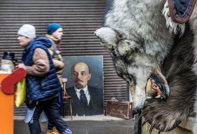 A wolf skin is on display for sale next to a painting of Russian communist revolutionary Vladimir Ilyich Ulyanov, also known as Lenin, at Izmailovo flea market in Moscow on December 3, 2017. (Photo by Mladen Antonov/AFP Photo)