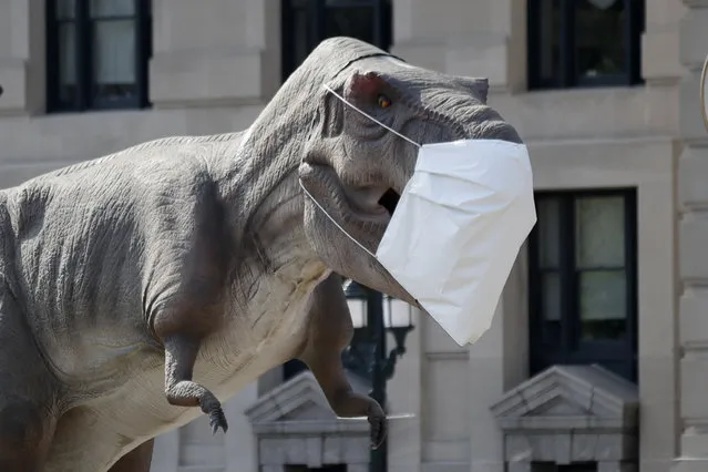 A dinosaur replica wears a mask outside Union Station in Kansas City, Mo., Wednesday, Aug. 5, 2020. The dinosaur is promoting a Dinosaur Road Trip exhibit. (Photo by Orlin Wagner/AP Photo)