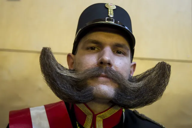 A contestant of the World Beard And Mustache Championships poses for a picture during the Championships 2015 on October 3, 2015 in Leogang, Austria. (Photo by Jan Hetfleisch/Getty Images)