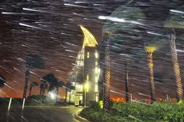 Trees sway from heavy rain and wind from Hurricane Matthew  in front of Exploration Tower early Friday, October 7, 2016 in Cape Canaveral, Fla. (Photo by Craig Rubadoux/AP Photo)