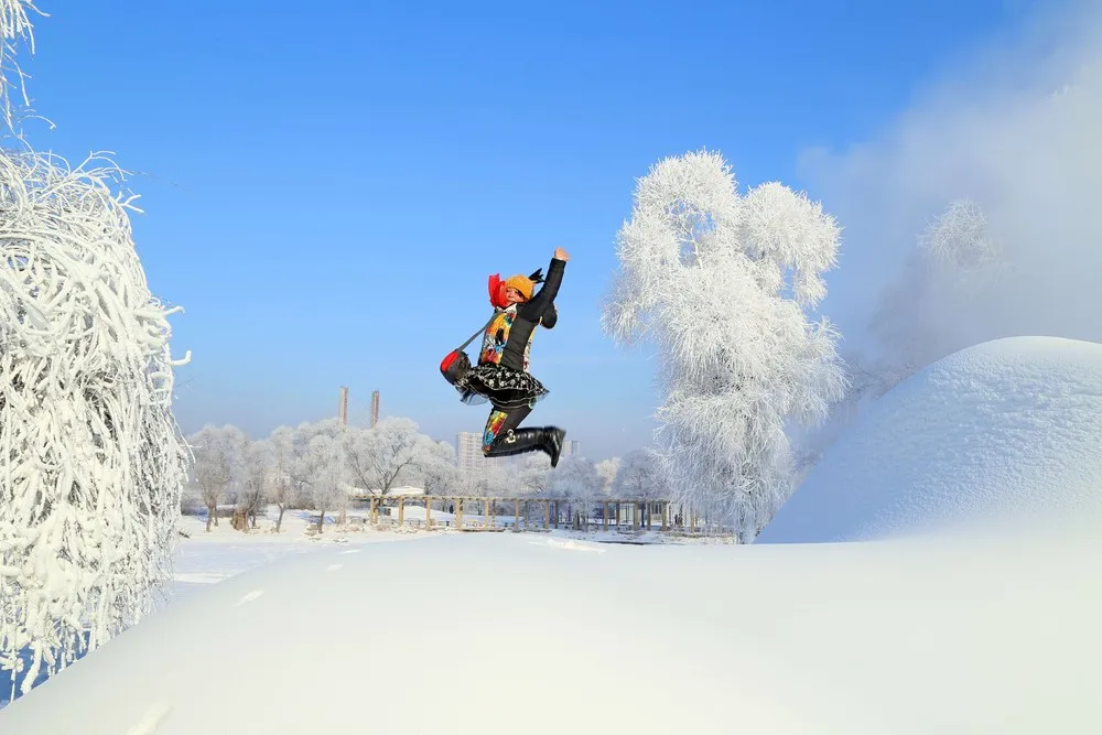 Photos Taken at Just the Right Moment