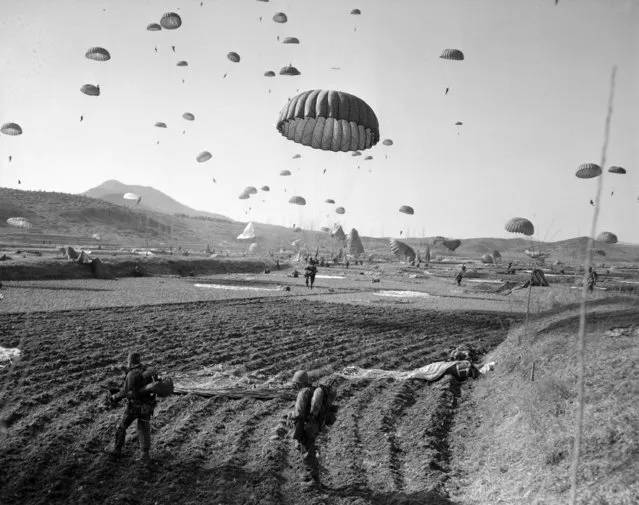 American paratroopers float to earth behind Communist lines in the Munsan area northwest of Seoul, Korea, March 23, 1951. The skytroopers were joined by an armored column as the Reds attempted to surround and wipe them out. (Photo by AP Photo)