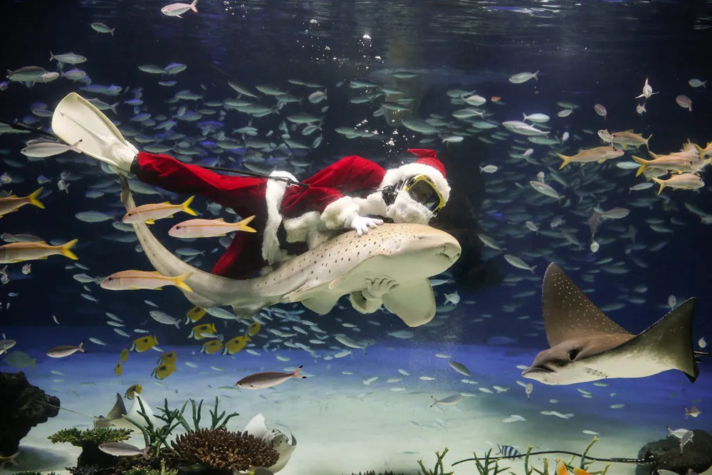 The Day in Photos – November 13, 2015