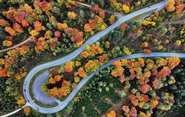 Cars drive in a curve in the coloured Taurus region in Frankfurt, Germany, Tuesday, October 14, 2025. (Photo by Michael Probst/AP Photo)