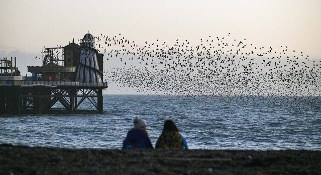 Spectators enjoy a starling murmuration off Brighton beach, East Sussex, UK, by the pier after an afternoon of sunshine on December 10, 2025. (Photo by Simon Dack News/Alamy Live News)