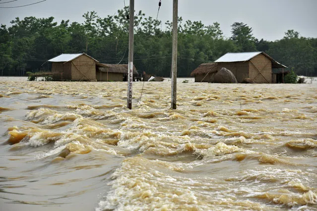 Partially submerged houses are seen at a flood-affected village in Hojai district, in the northeastern state of Assam, India, June 16, 2018. (Photo by Anuwar Hazarika/Reuters)