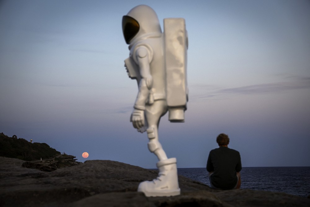 Pictures of the Year 2024, Part 189/240