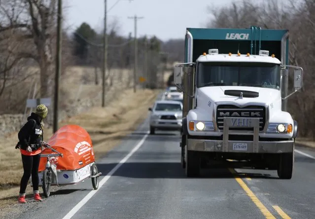 Sixty-eight year old cross-country runner Rosie Swale-Pope is passed by traffic on Route US 50 while pulling her cart, “The Icebird”, in Upperville, Virginia March 13, 2015. (Photo by Gary Cameron/Reuters)