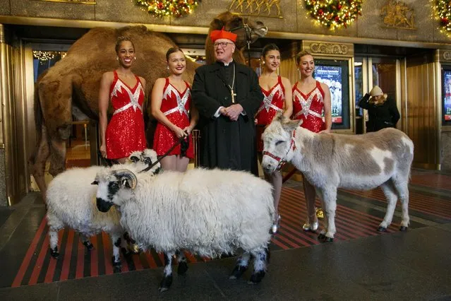 His Eminence Timothy Cardinal Dolan (C) and the Radio City Rockettes welcome the camel, sheep and donkey back to Radio City Music Hall for their featured role in the “Living Nativity” scene in the 2023 production of the Christmas Spectacular Starring the Radio City Rockettes in New York, New York, USA on November 2, 2023. The “Living Nativity” scene has been a part of the production since its inception in 1933. (Photo by Sarah Yenesel/EPA/EFE)
