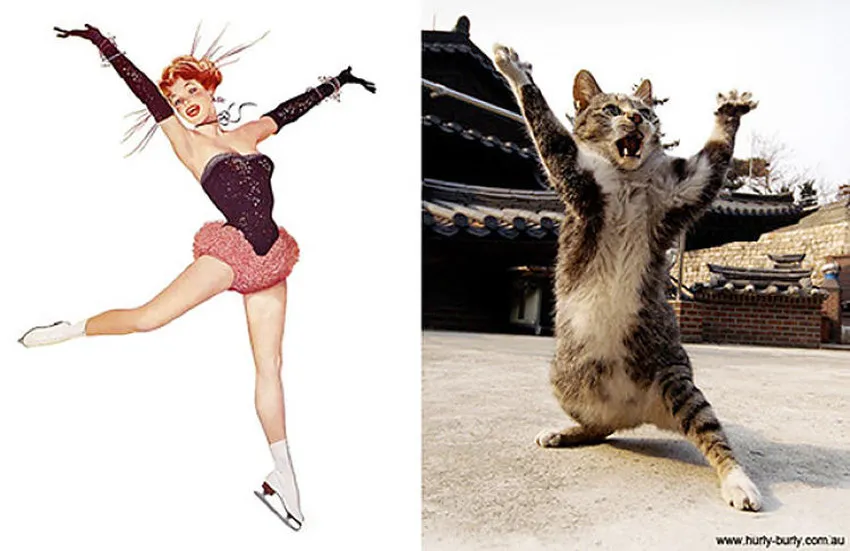 Cats That Look Like Pin Up Girls