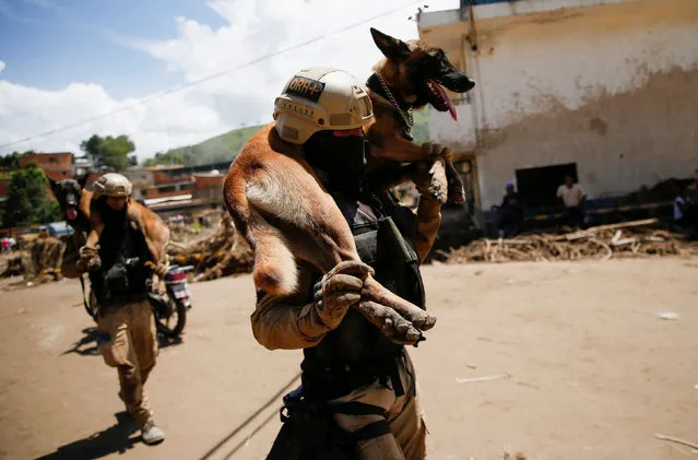 Belgian shepherd dog «K9» members, of the National Service of Medicine and Forensic Sciences, are seen during rescue work in Las Tejerias, Aragua state, which was hit by devastating floods following heavy rain, Venezuela on October 11, 2022. (Photo by Leonardo Fernandez Viloria/Reuters)
