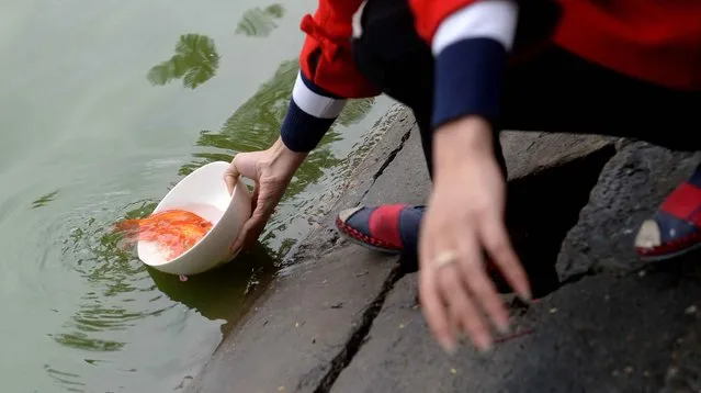 A woman releases red carps at a lake in downtown Hanoi on January 20, 2017 as Vietnamese celebrate the Kitchen Gods' Day, a week before the Lunar New Year or Tet celebrations. (Photo by  Hoang Dinh Nam/AFP Photo)