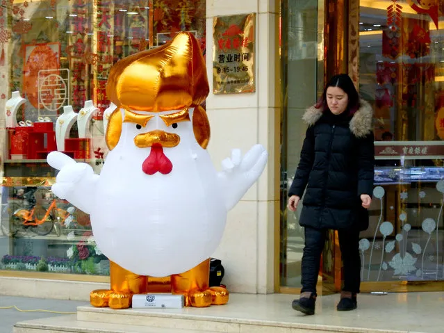 An inflatable rooster resembling American President Donald J. Trump seen outside a jewelry shop on January 26, 2017 in Nanjing, Jiangsu Province of China. A jewelry shop sets two inflatable roosters resembling American President Donald J. Trump at the gate to greet customers in Nanjing as China welcomes the Year of Rooster. (Photo by VCG/VCG via Getty Images)