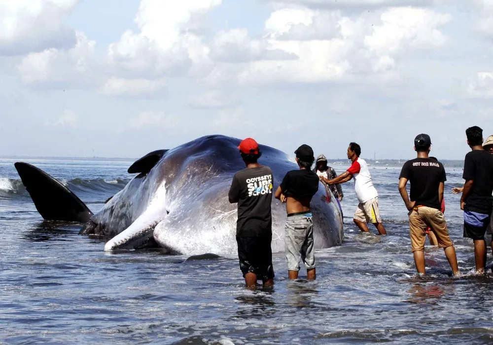 The Day in Photos – March 15, 2016