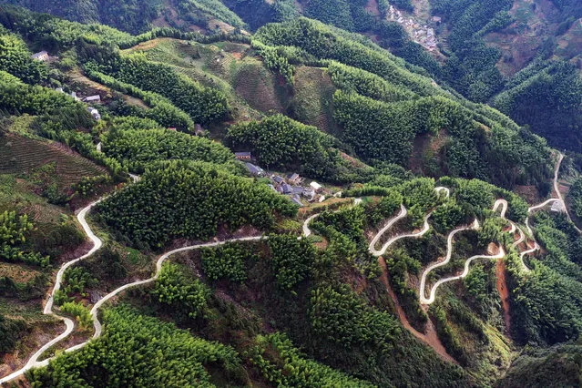 On October 17, 2021, the Panshan Highway in Zhoujiayuan Village, Huangjian Township, Xiuning County, Huangshan City, Huangshan City, Anhui Province, was photographed by drone aerial photography. The villages set against each other and are magnificent. Zhoujiayuan Village is located on a mountain at an altitude of 800 meters. In 2020, Huangjian Township raised 2.1 million yuan to widen the road to the village in accordance with the standards of the township road. The local abundance of bamboo shoots, tea, Wakaba and other agricultural products are continuously transported out of the mountain. The good ecological environment and well-preserved ancient villages have also promoted the rapid development of tourism in mountain villages, becoming rich roads and happy roads for mountain villages to develop production and revitalize the economy. (Photo by Sipa Asia/Rex Features/Shutterstock)