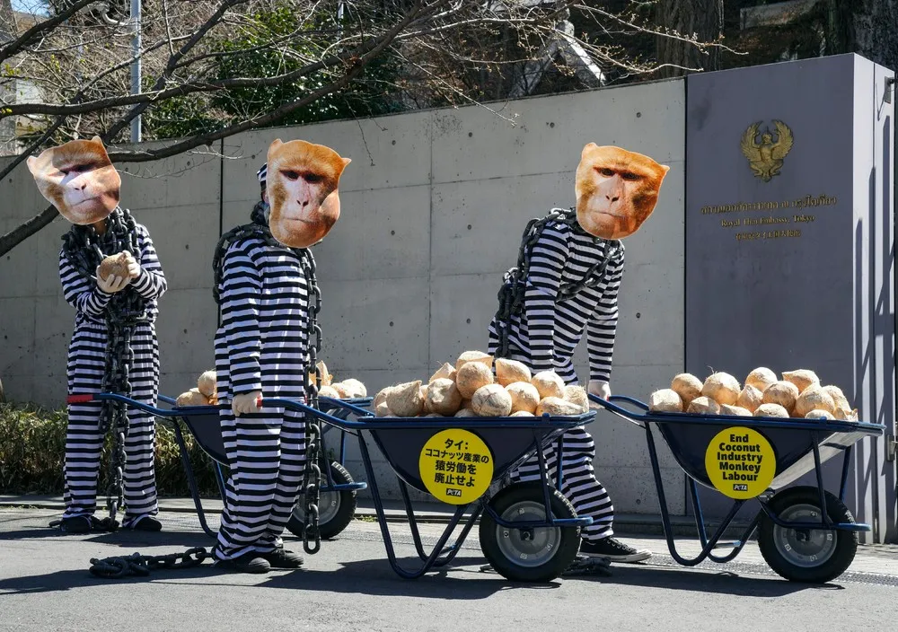 A Look at Life in Japan