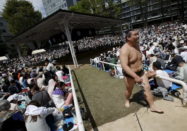 A sumo wrestler leaves the ring during the annual “Honozumo” ceremonial sumo tournament dedicated to the Yasukuni Shrine in Tokyo, Japan, April 18, 2016. (Photo by Yuya Shino/Reuters)