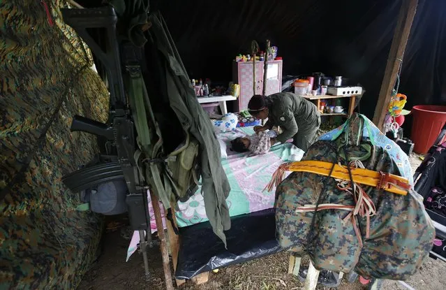 In this Tuesday, February 28, 2017 photo, FARC rebel Sandra Saez changes her 4-month-old daughter Manuela inside her tent at a rebel camp in a demobilization zone in La Carmelita, in Colombia's southwestern Putumayo state. In La Carmelita, one of the more built-up camps, rebels sleep under plastic tarps, there are no proper showers or clinics and a road to the main highway is so muddy it is hard to traverse except in all-terrain vehicles. (Photo by Fernando Vergara/AP Photo)