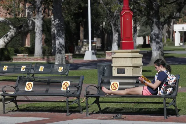 A person reads a book on campus at the University of Southern California as the spring semester begins remotely amid concerns over the new omicron variant in Los Angeles, Calfornia, USA, 11 January 2022. Students and staff are required to get their COVID-19 vaccine booster shots and proof of a negative COVID-19 test to return to classes in-person starting 18 January 2022. (Photo by Caroline Brehman/EPA/EFE)