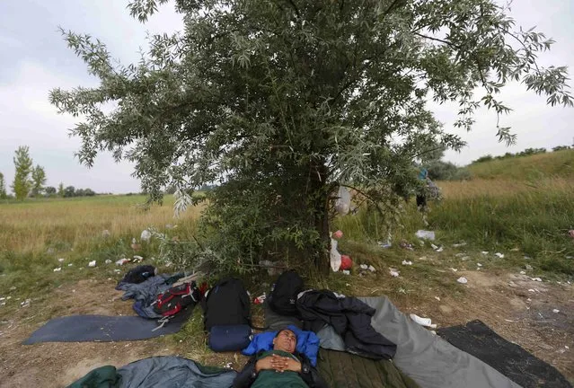 A migrant from Afghanistan sleeps under a tree near an abandoned brick factory in Subotica, Serbia on June 28, 2015, as he prepares to cross the border with Hungary. (Photo by Laszlo Balogh/Reuters)