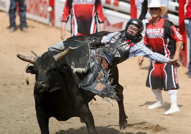 Trey Benton III of Rock Island, Texas rides the bull Rollin Coal in the Bull Riding event during the Calgary Stampede rodeo in Calgary, Alberta, July 10, 2015. (Photo by Todd Korol/Reuters)
