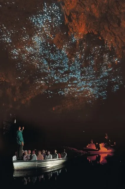 Waitomo Glowworm Caves New Zealand