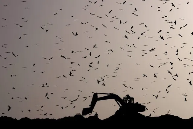 Birds fly around as an earthmover sorts garbage at the Ghazipur garbage dump in New Delhi, India, Monday, March 28, 2022. A massive fire broke out here Monday leading to a huge cloud of smoke enveloping the region and neighboring areas. (Photo by Manish Swarup/AP Photo)