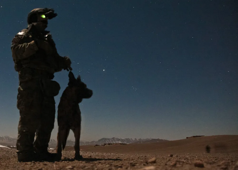 Afghanistan: Dogs of War Part 1
