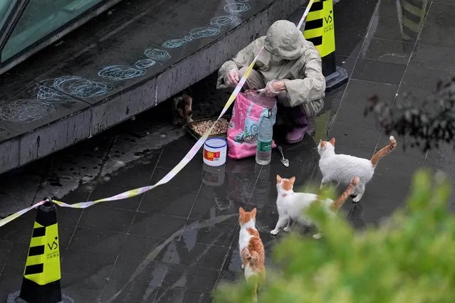 A resident feeds stray cats during lockdown, amid the coronavirus disease (COVID-19) pandemic, in Shanghai, China, April 28, 2022. (Photo by Aly Song/Reuters)