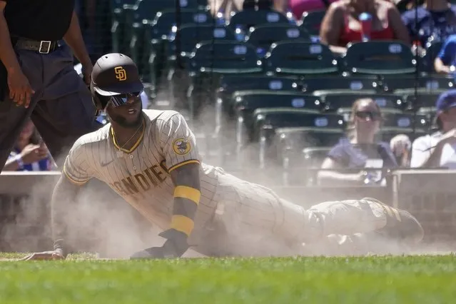 San Diego Padres' Jurickson Profar scores in a cloud of dust off a single by Manny Machado during the fourth inning of a baseball game against the Chicago Cubs Thursday, June 16, 2022, in Chicago. (Photo by Charles Rex Arbogast/AP Photo)