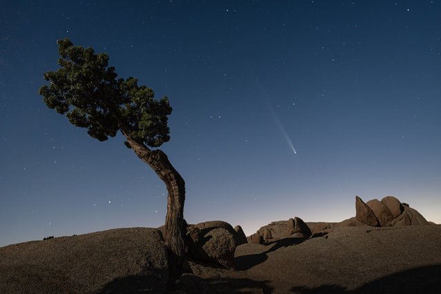 Comet C/2023 A3 (Tsuchinshan-ATLAS) streaks across the sky over Joshua Tree National Park on October 15, 2024 in Los Angeles, CA. (Photo by Qian Weizhong/VCG via Getty Images)