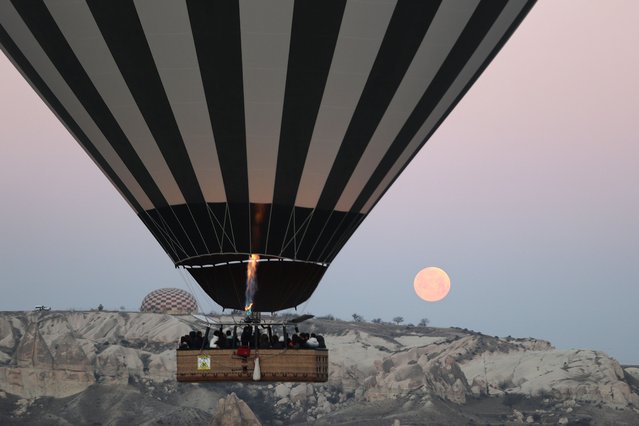 A view of hot air balloons during sunset at Cappadocia in Nevsehir, Turkiye on June 17, 2024. The number of balloon technical personnel increased by 14 per cent last year compared to the previous year, rising from 575 to 654. As of the end of last year, 387 balloon pilots were certified in Turkiye. (Photo by Behcet Alkan/Anadolu via Getty Images)