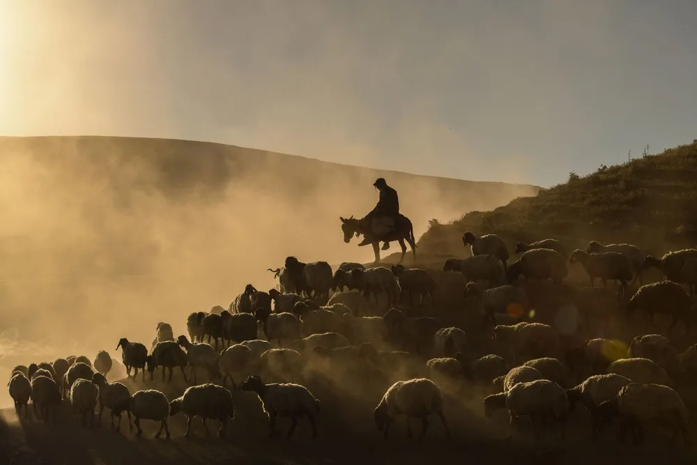 A Look at Life in Turkey