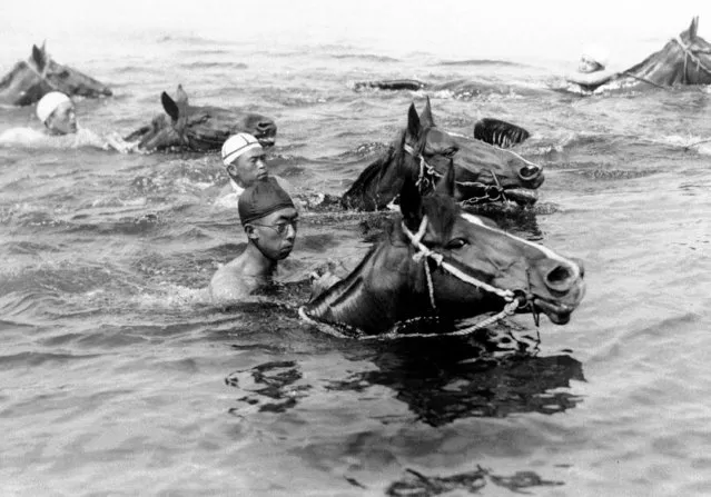 Prince Mikasa, in foreground wearing black skull cap, youngest of the three brothers of Emperor Hirohito, participates in the exercises of the 15th Cavalry Regiment, swimming mounts across the river in Tokyo, September 3, 1936. Prince Mikasa, a graduate of the army cadet school, is expected to be commissioned a cavalry officer soon. (Photo by AP Photo)