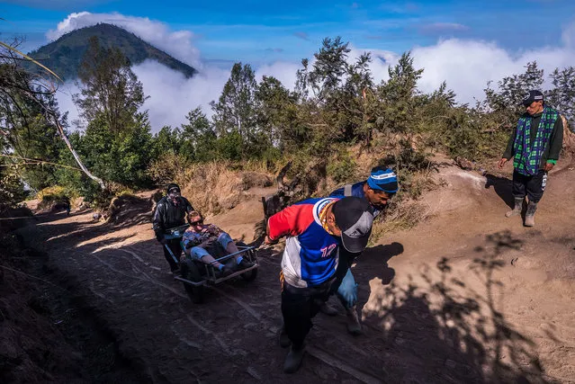 Miners pulling up lazy tourists to the rim of Kawah Ijen (Ijen Volcano), East Java, Indonesia on September 21, 2017. They will earn as much as they would bring down a load of sulfur. Nomadic Explorer, Cultural Lifestyle Photographer Claudio Sieber captured striking images of miners working at Ijen volcanic range in East Java, Indonesia. The sulphur miners risk their lives daily as they climb the active volcano carrying heavy loads, which they sell to sugar refineries. Shortly after midnight curious tourists are flocking in hundreds through the gate of Ijen's foothills to be right on time, driven by the images others took before them. Kawah Ijen is the one of the world's largest acidic volcanic crater lake; famous for its turquoise color as well as the unreal atmosphere it offers during darkness. A dusty path zigzags 3 kilometers up to the crater rim. This doesn't mean anything challenging; in particular, special sights have to be deserved anyway. The irritating smell of sulfur announces the near of the crater's existence. Arriving on the crater's rim the reward for the torture becomes visible. Blue fire darts its tongues through the fumes of sulfur dioxide. Somehow, the spectacle isn't as romantic as expected, since it is also the rough working space of approx. 150 sulfur miners who start their shift at 1 am. Lately, harvesting the abundance of devil's gold received international attention. This did obviously not really improve a miner's lifestyle; neither did it contribute to a better wage. (Photo by Claudio Sieber/Barcroft Images)