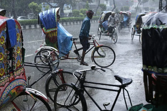 Rickshaw pullers carry passengers in the streets in a rain in Dhaka, Bangladesh 31 August 2015. (Photo by Abir Abdullah/EPA)