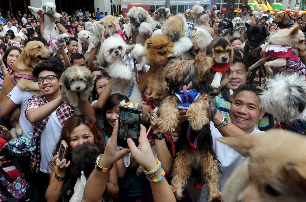 The Week in Pictures: October 4 – October 11, 2014. Part 5/6