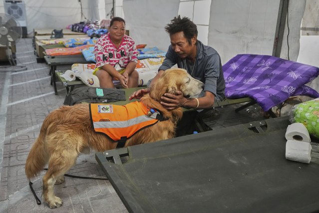 K9 named Safari works as an emotional support with relatives of workers of a high-rise building under construction that collapsed in Bangkok, Thailand, Monday, March 31, 2025. (Photo by Sakchai Lalit/AP Photo)