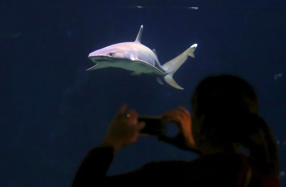 The Day in Photos – September 30, 2015