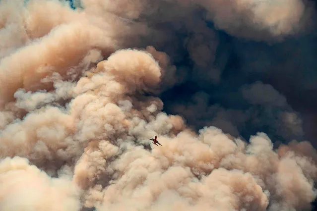 A firefighting airplane flies away from a pyrocumulus ash plume after making a retardant drop on a ridge as firefighters continue to battle the Apple fire near Banning, California on August 1, 2020. 4,125 acres have burn in Cherry Valley, about 2,000 people have received evacuation orders in the afternoon of August 1. (Photo by JJosh Edelson/AFP Photo)