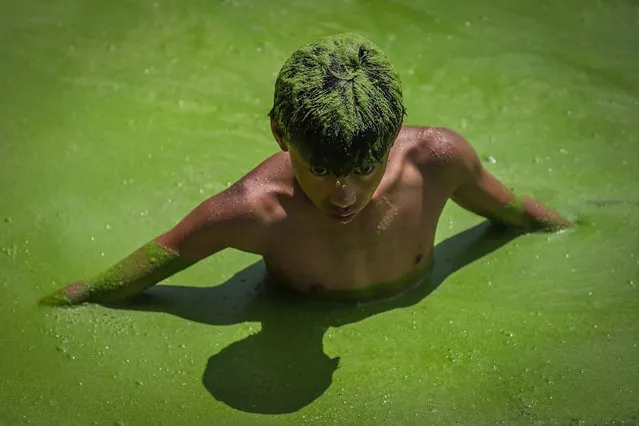 Nepalese child swims and has fun in a pond during the hot weather in Bhaktapur, Nepal on August 4, 2020. (Photo by Sujan Shrestha/Rex Features/Shutterstock)