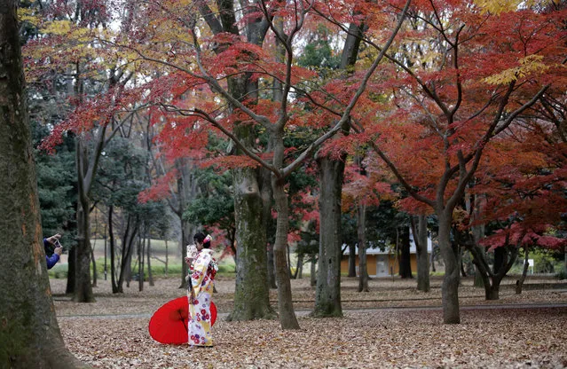 A foreign tourist wearing a traditional Japanese kimono takes a photo in front of the colorful autumn leaves at a park in Tokyo, Monday, December 4, 2017. (Photo by Shizuo Kambayashi/AP Photo)