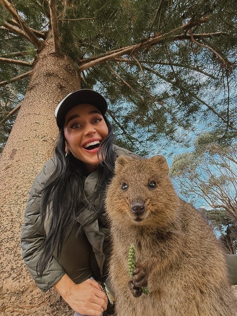 American singer Katy Perry snaps a sweet pic with a Quokka while in Australia on June 26, 2025. (Photo by katyperry/Instagram)