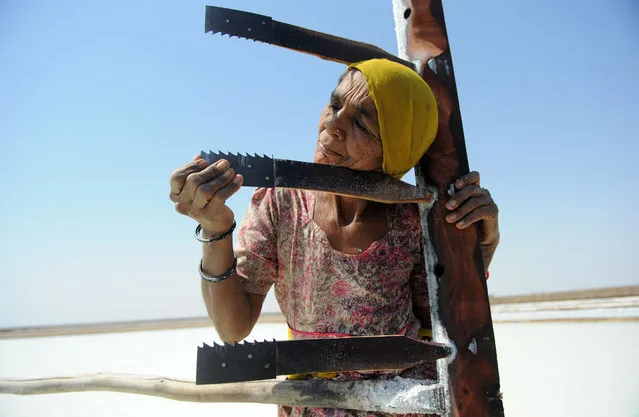 Indian salt worker Walbai Ayyubbhai, 70, checks her rake at a salt pan on the eve of International Women's Day in the Santalpur region of Little Rann of Kutch, India, on March 7, 2013. Women have always faced higher unemployment rates than men, and the sluggish global economy in recent years has only made the situation worse, the International Labour Organization said in December 2012. (Photo by Sam Panthaky/AFP Photo)