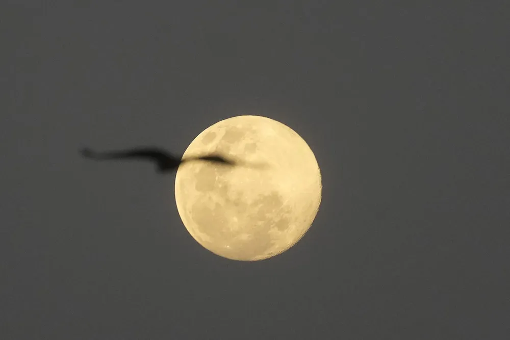 The Day in Photos – February 6, 2023