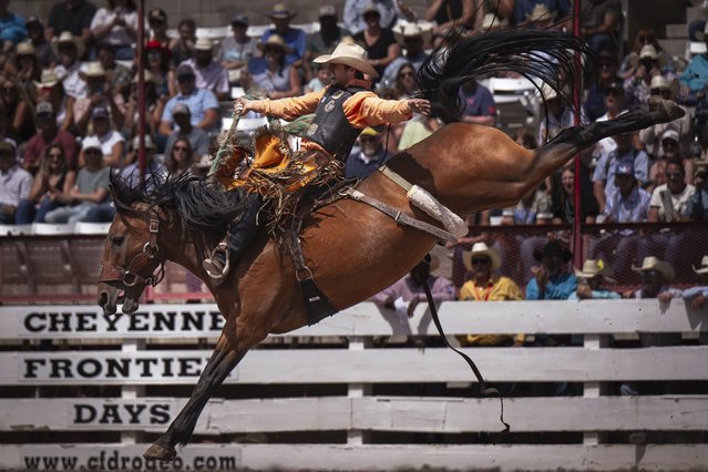 Brody Cress from Hillsdale, Wyo. competes in saddle bronc riding during the 129th anniversary Cheyenne Frontier Days Rodeo on Championship Sunday, July 27, 2025, in Frontier Park Arena. (Photo by Milo Gladstein/The Wyoming Tribune Eagle via AP Photo)